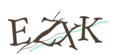 Identifying code