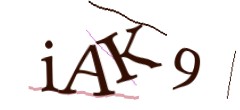 Identifying code