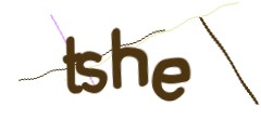 Identifying code