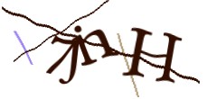 Identifying code