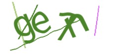 Identifying code