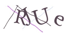 Identifying code