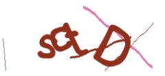 Identifying code
