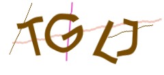 Identifying code