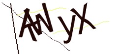 Identifying code