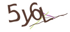 Identifying code