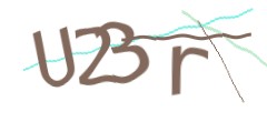 Identifying code