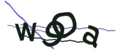Identifying code