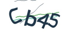 Identifying code