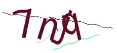 Identifying code