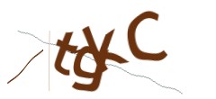 Identifying code