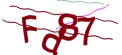 Identifying code