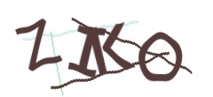 Identifying code