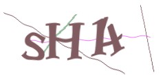 Identifying code