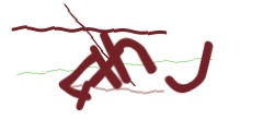 Identifying code