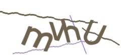 Identifying code