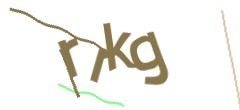 Identifying code