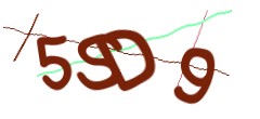 Identifying code