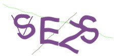 Identifying code