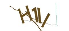 Identifying code
