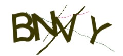 Identifying code