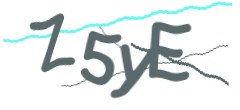 Identifying code