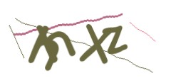 Identifying code