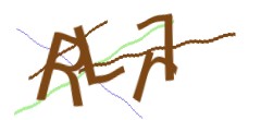 Identifying code
