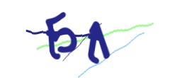 Identifying code