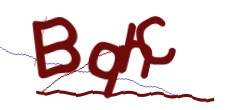 Identifying code