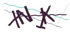 Identifying code