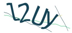 Identifying code