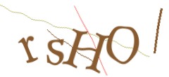 Identifying code