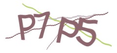 Identifying code