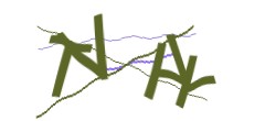 Identifying code