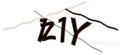 Identifying code