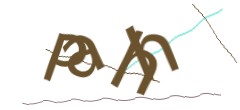 Identifying code