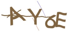 Identifying code