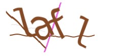 Identifying code