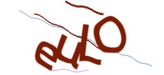 Identifying code