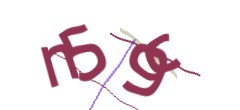 Identifying code