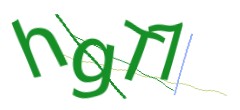 Identifying code