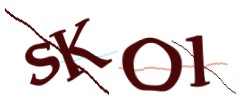 Identifying code
