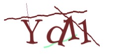 Identifying code