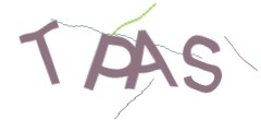 Identifying code