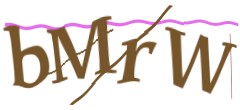 Identifying code