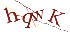 Identifying code