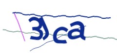 Identifying code