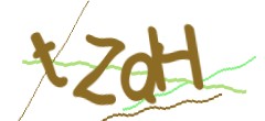 Identifying code