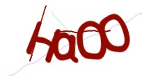 Identifying code